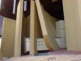 こんな感じの所が至る所に。天井にも逆さまにくっついています